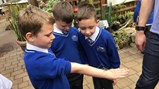Year 2&3 botanical trip