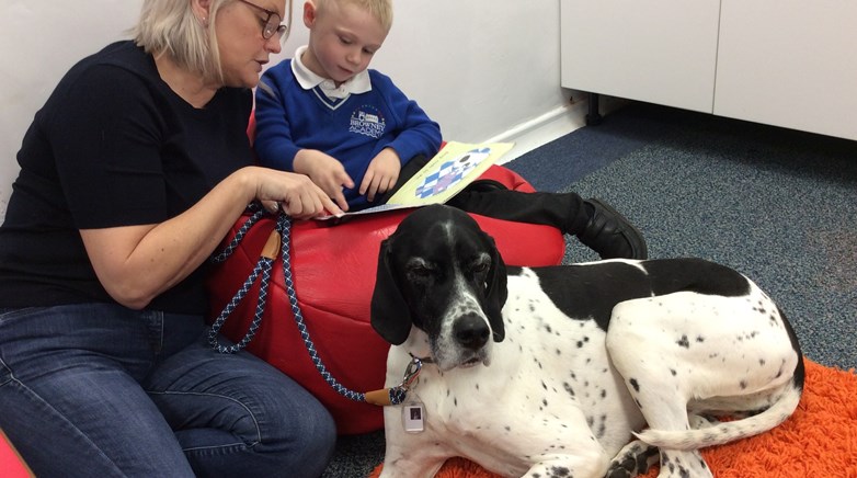 Therapy dog Amber