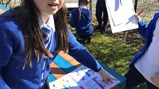 Year 5 science