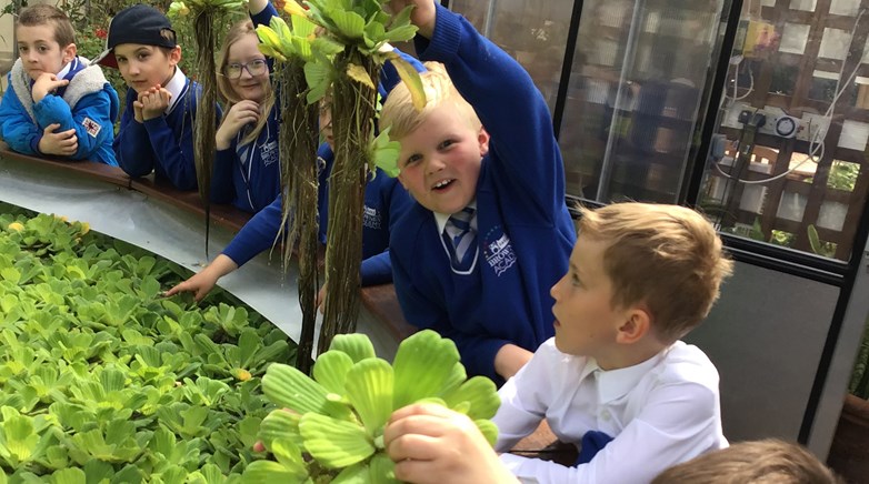 Year 2 & 3 botanical gardens