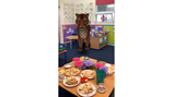Tiger who came to tea