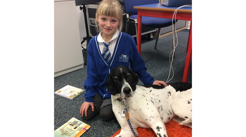 Therapy dog Amber