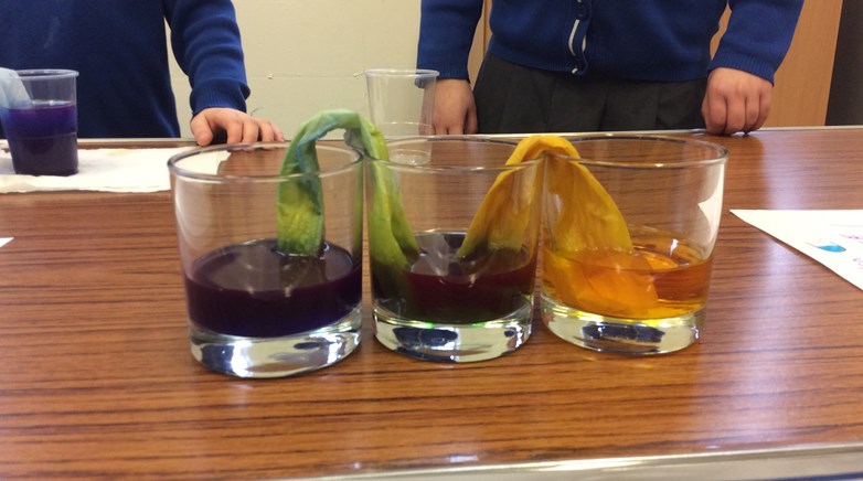 Science afternoon causes a stir... 