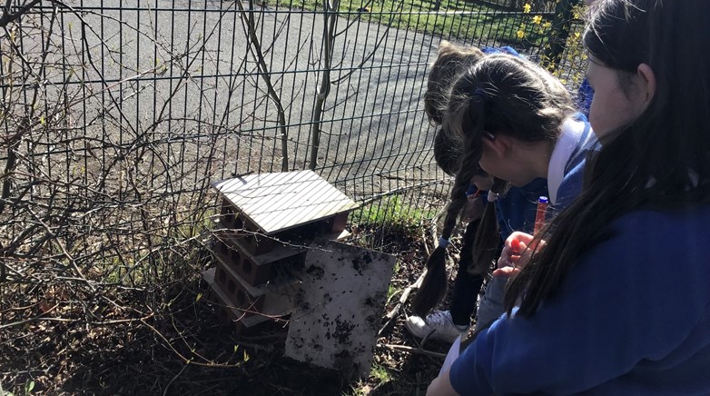 Year 5 science