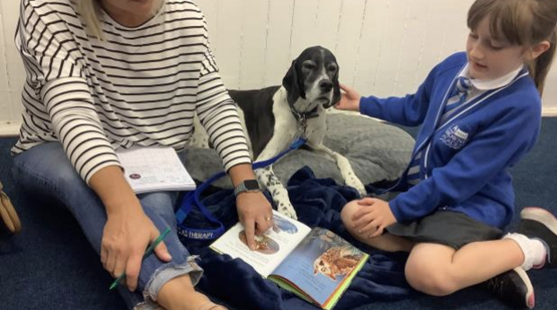 Amber therapy dog
