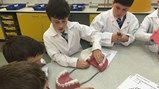 Year 4/5 science trip