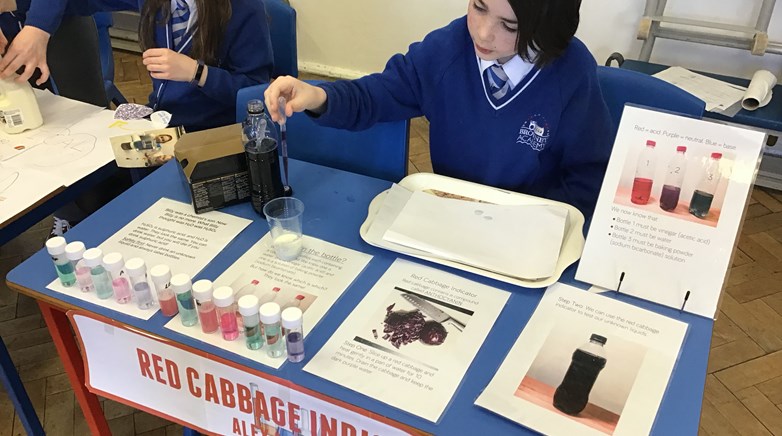 Science Fair Red Cabbage
