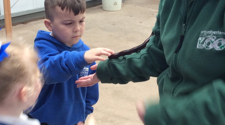 Northumberland Zoo
