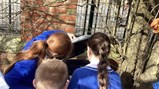 British Science Week