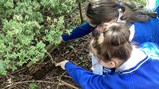 British Science Week