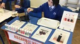 Science Fair Red Cabbage