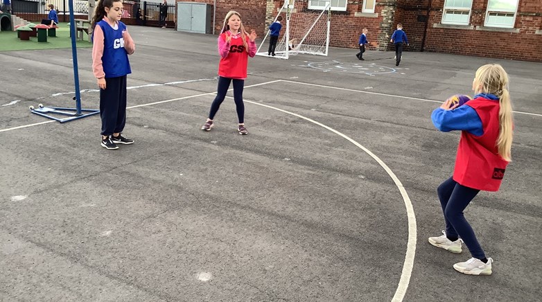 Netball browney