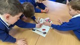 Year 2 Science -6