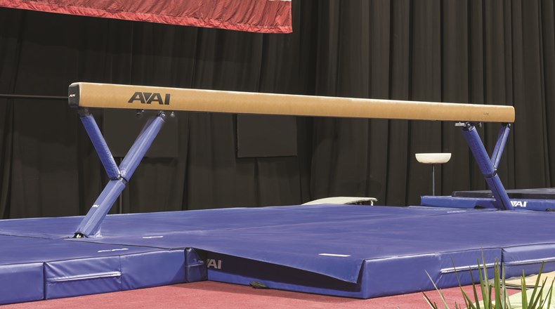 Gymnastics festival