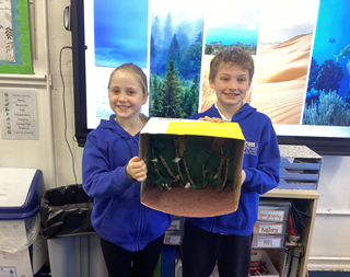 Year 5 Biomes- 2