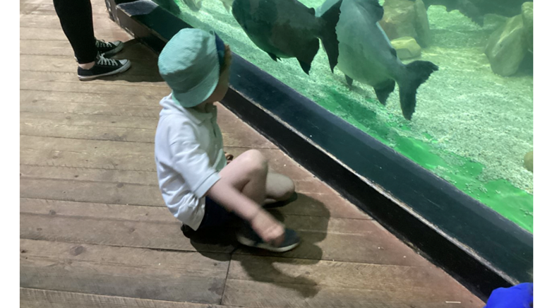 Reception trip