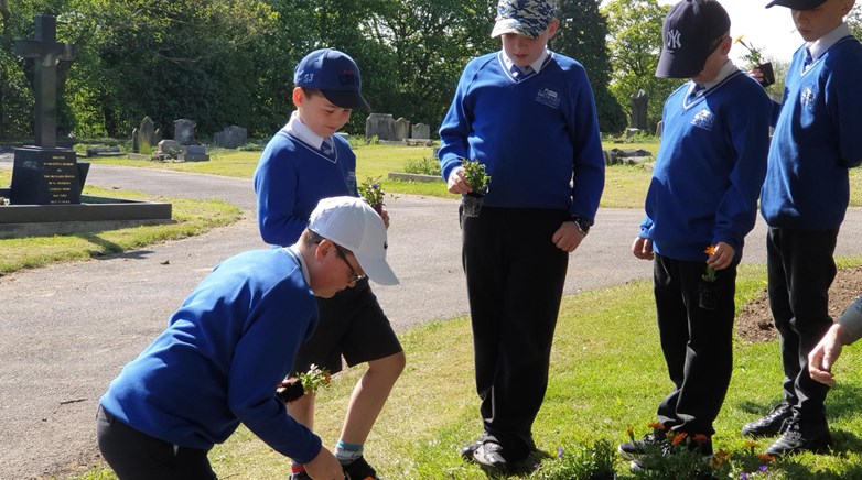 Browney community plants