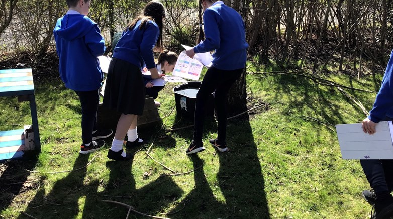 Year 5 science
