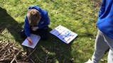 Year 5 science