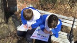 Year 5 science