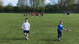 Year 1 attend sport festival