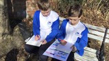 Year 5 science