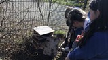Year 5 science