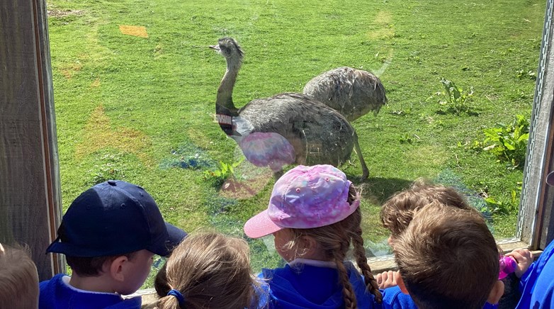 Northumberland Zoo